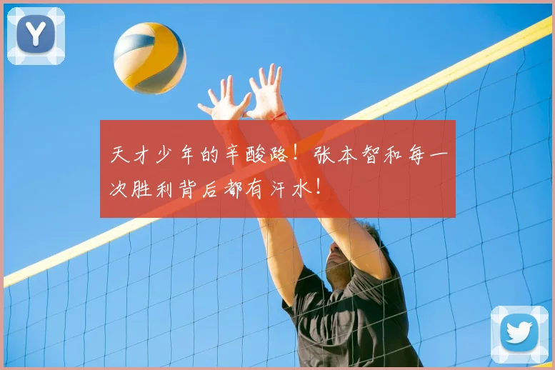 天才少年的辛酸路!张本智和每一次胜利背后都有汗水!
