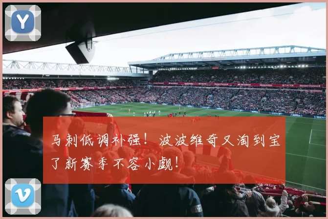 马刺低调补强！波波维奇又淘到宝了新赛季不容小觑！